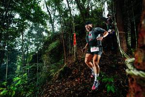 BIB: 
                            <button type="button" onclick="openModal(26198334)" class="btn btn-primary btn-sm float-right btn-popup" data-toggle="modal" data-target=".modal-high-quality">
                        <i class="fas fa-shopping-cart"></i> Add to Cart
                    </button>
                                            <button type="button" onclick="isThisMe(26198334, true)" class="btn btn-success btn-sm float-right btn-popup btn-isme hidden" data-toggle="tooltip" data-placement="bottom" title="นี่คือรูปของคุณใช่ไหม คลิกที่นี่เพื่อเอาเข้าอัลบั้ม">
                        <i class="fas fa-plus"></i> Add to album
                    </button>
                    <button type="button" onclick="isThisMe(26198334, false)" class="btn btn-warning btn-sm float-right btn-popup btn-isnotme hidden">
                        <i class="fas fa-ban"></i> Remove from album
                    </button>